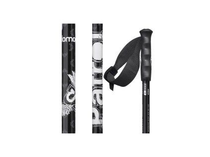 Salomon hole Patrol 2012 black