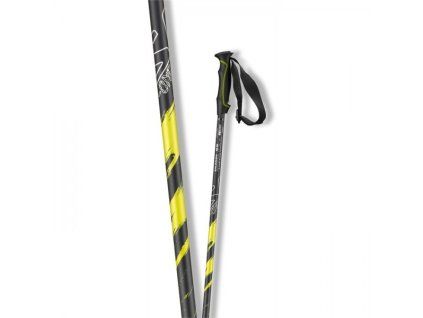 Salomon F-One 2013