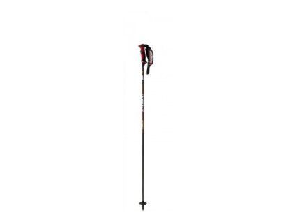 Atomic Redster Carbon Composite hole 2013