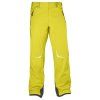 Salomon lyžařské kalhoty S Line Pant